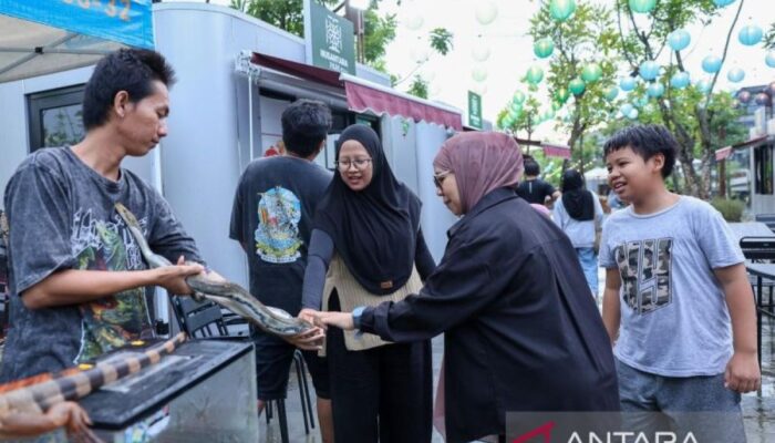Otorita IKN Hadirkan Pameran Reptil dan Mamalia Eksotis di Nusantara Park