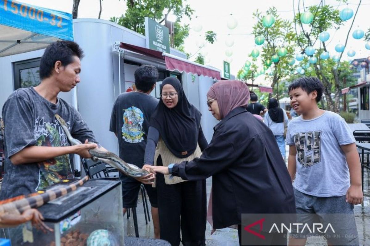 Pengunjung IKN mencoba memegang salah satu reptil di pameran reptil dan hewan eksotik di Nusantara Park