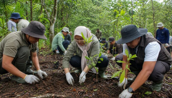 Libur Panjang, Otorita IKN Ajak Pengunjung Tanam 150 Bibit di MHHT Sepaku