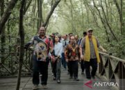 Dana Hibah M4CR Dorong Ekowisata Mangrove di Penajam