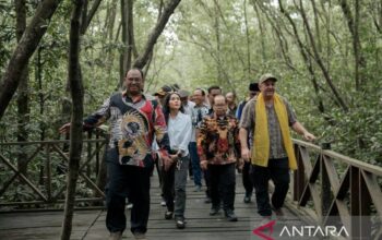 Ekowisata mangrove Penajam di kawasan pesisir