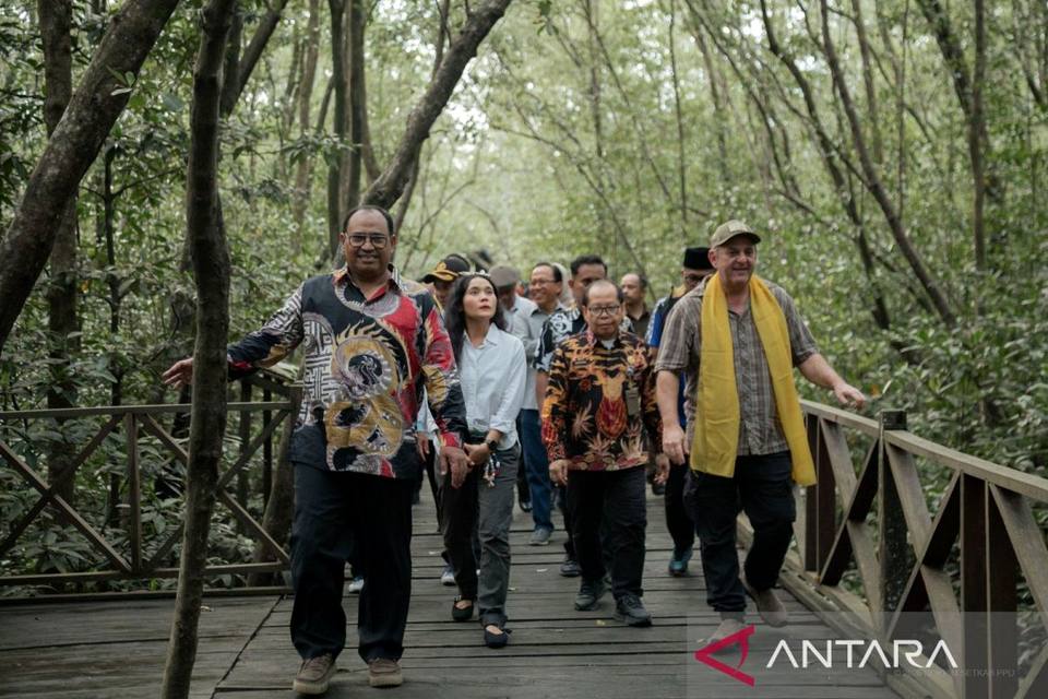 Ekowisata mangrove Penajam di kawasan pesisir