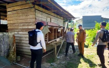 Arena Judi di Penajam Ditertibkan, Bangunan Sabung Ayam Dibongkar