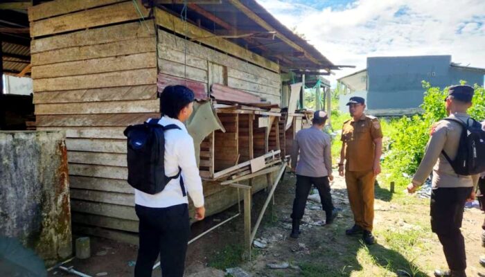 Arena Judi di Penajam Ditertibkan, Bangunan Sabung Ayam Dibongkar