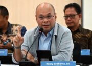 Romy Soekarno: Putusan MK Soal Jakarta Tak Menghentikan Proyek IKN