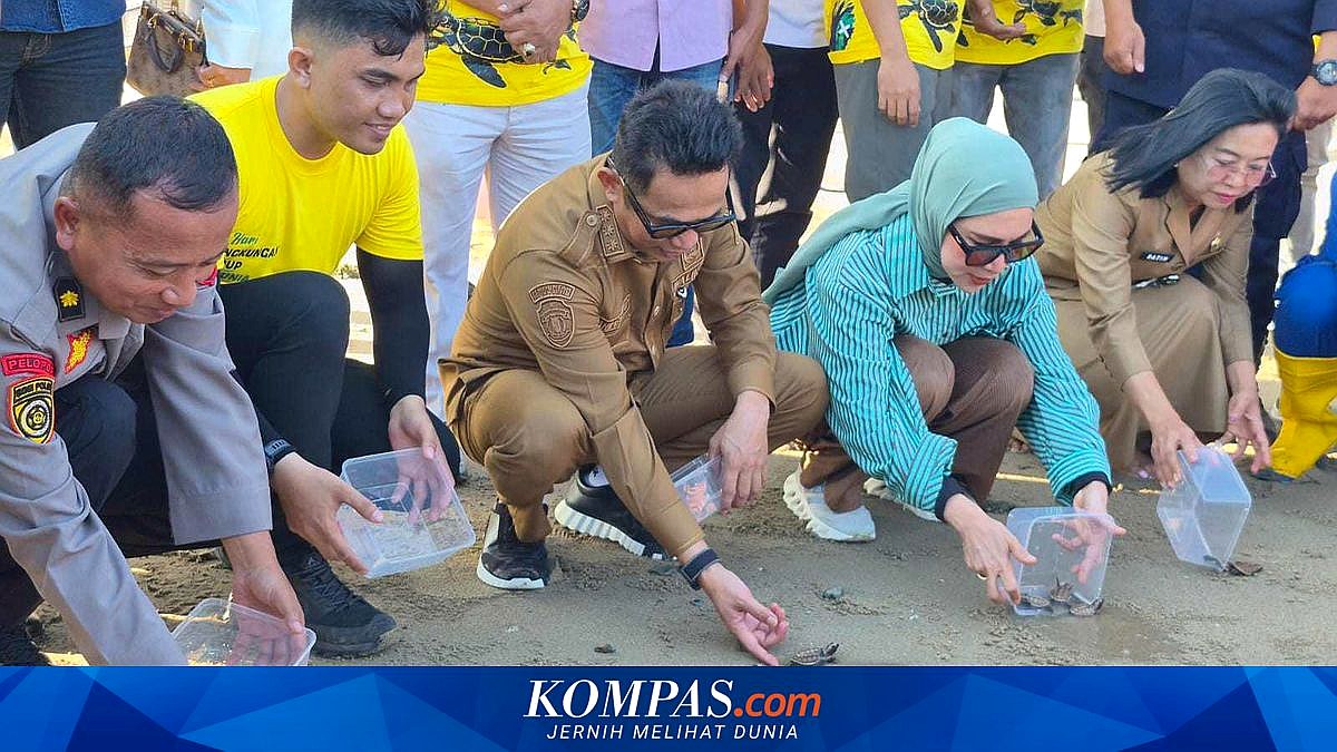 Wali Kota Balikpapan melepas tukik di Pantai Damba Enggang Borneo sebagai simbol penolakan reklamasi pantai habitat penyu lekang.