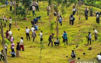 OIKN dan Perbanas menanam 1.153 pohon di RTH Embung H KIPP IKN, Sepaku, untuk memperkuat konsep kota hutan Nusantara.