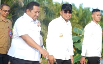 Bupati PPU Mudyat Noor dan Gubernur Kaltim Rudy Mas'ud saat penanaman kelapa genjah di Penajam