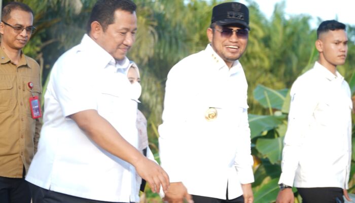 PPU Kembangkan Kelapa Genjah di Pesisir untuk Pasar IKN Nusantara