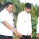 PPU Kembangkan Kelapa Genjah di Pesisir untuk Pasar IKN Nusantara