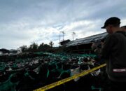 OIKN Siapkan Revegetasi Lahan Bekas Tambang Ilegal di IKN, Dimulai dengan Pohon Cepat Tumbuh