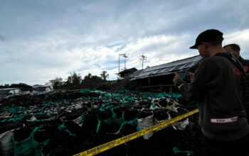 Lahan bekas tambang ilegal di kawasan IKN yang akan direvegetasi bertahap oleh OIKN
