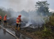 Dua Karhutla Sehari di PPU, Tim Gabungan Padamkan Api Dekat Islamic Center