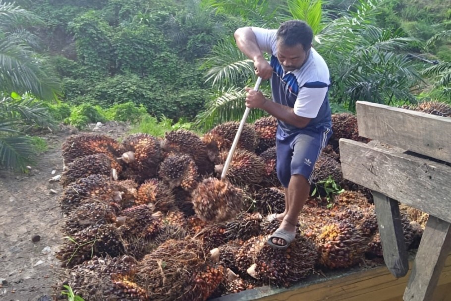 Bupati PPU Mudyat Noor menyoroti kontribusi sawit terhadap kerusakan infrastruktur daerah.