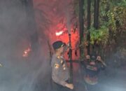 61 Titik Api Terdeteksi di Kawasan IKN, BNPB: 400 Hektare Lahan Terbakar