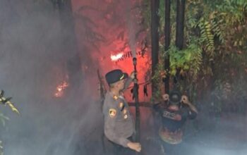 61 Titik Api Terdeteksi di Kawasan IKN, BNPB: 400 Hektare Lahan Terbakar