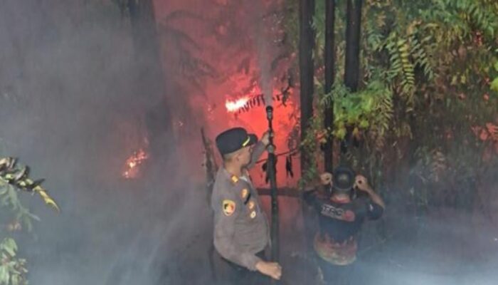 61 Titik Api Terdeteksi di Kawasan IKN, BNPB: 400 Hektare Lahan Terbakar