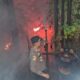 61 Titik Api Terdeteksi di Kawasan IKN, BNPB: 400 Hektare Lahan Terbakar