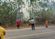 Karhutla 13 Hektare di Bukit Soeharto, Tim Gabungan Lanjutkan Pemadaman