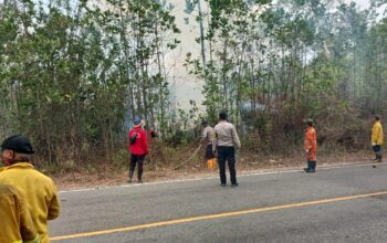 Tim gabungan memadamkan kebakaran hutan dan lahan di Hutan Lindung Bukit Soeharto, Kutai Kartanegara.