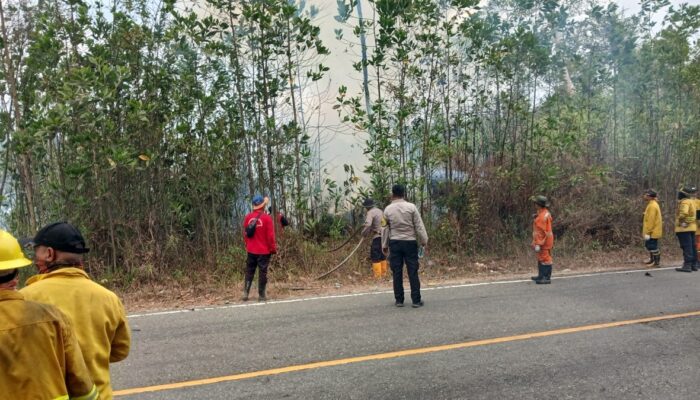Karhutla 13 Hektare di Bukit Soeharto, Tim Gabungan Lanjutkan Pemadaman