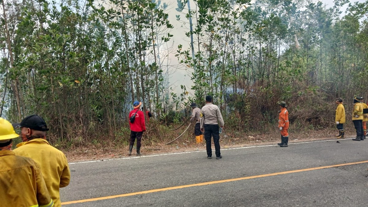 Tim gabungan memadamkan kebakaran hutan dan lahan di Hutan Lindung Bukit Soeharto, Kutai Kartanegara.